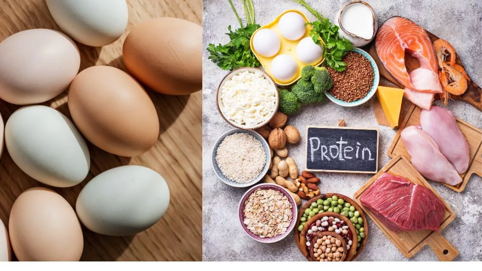 Easy & Fast Weight Loss for Women of Colour: The Power of Protein